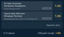 IMG_0272.jpeg